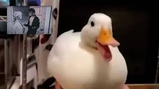 Youtube Keyboard - play aha- take one me with disappearing duck sound  - play with you PC keypad