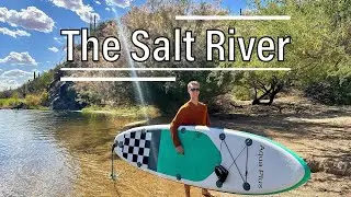 A Day on the Salt River: Arizona's Hidden Gem