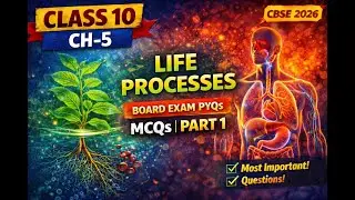 Class 10 Science Chapter 5 MCQs | Life Processes | 15 Exam Based MCQs | Part 1