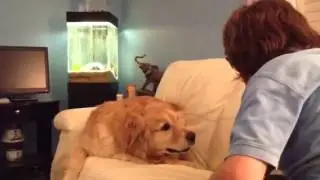 Molly Madness