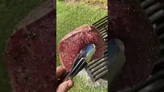 Grill Top Rocket Stove Cooks Scotch Fillet