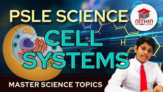 PSLE SCIENCE | CELL SYSTEMS |  Primary 5 & 6 Singapore | Master Science Topics