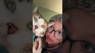 Why do cats smell so good 😭
