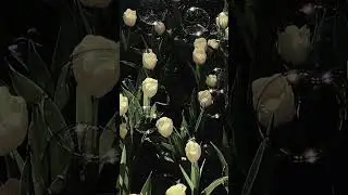 (DEMO KY SU BAY VOL 31 TẠM BIỆT 2023 ) TO&Agrave;N THẮNG MIX || Nhạc Phố