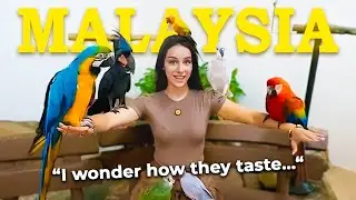 Disney Princess, But I’m Roasting Birds in Malaysia 🇲🇾