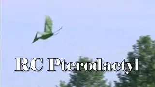 RC Pterodactyl Ornithopter