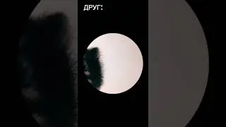 Когда друг ждёт пока ты поешь