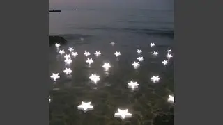 Moonbeams