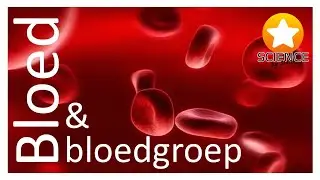 De bloedgroep [ Immunologie ]