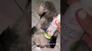 Eco-Friendly Pet Care Solution: Happy Life Organic Pet Spray! 🐾🌿