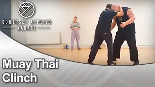 Muay Thai Clinch