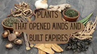 The Sacred Plants That Shaped Civilizations