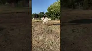 Still got it