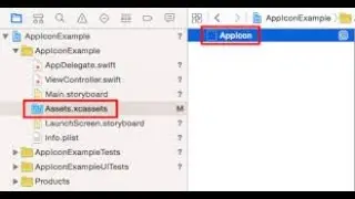 Add App Icon On Xcode