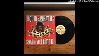 L-Fudge FT. Mike Zoot, Shabaam Sahdeeq, Skam2, Talib Kweli - What If? (DJ Spinna Instrumental)