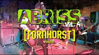 FORNHORST (2) live @ Abriss Vol.4 // Süderschmedeby, 25.5.24