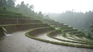 🌾 Can&rsquo;t Sleep Even With White Noise? This 6-Hour Rain Over Rice Terraces Could Change That