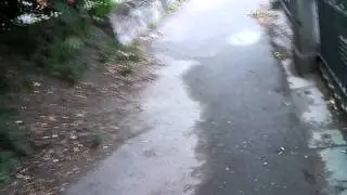 SANY0114.MP4