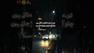 Royal Poetry  Zone💗. Beutifull Poetry #Viral #2024 ❤️💚.