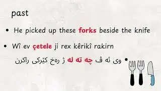 Learn Kurdish Behdini (0030) Spoon  new