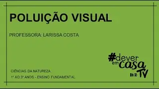 Polui&ccedil;&atilde;o visual