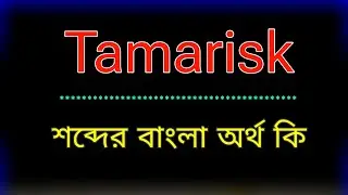 Tamarisk শব্দের অর্থ কি । Tamarisk meaning in bangla | Tamarisk শব্দের বাংলা অনুবাদ কর 