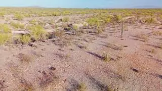 5-Acre Investment & Recreation Opportunity in Morristown, AZ for SALE!