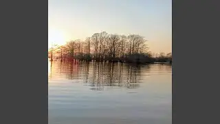 Golden Reflection
