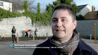 L'&eacute;cole Jules-Ferry plante sa micro-for&ecirc;t