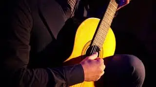 Grigory Novikov plays Prelude from Sonata V by S.L.Weiss