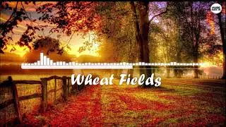 Alan Walker - Wheat Fields (New Song 2017)