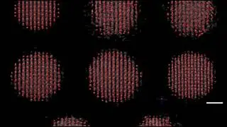 3D images of platinum particles