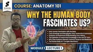 L1 Why the Human Body Fascinates Us ?