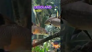 Legoland Atlantis #lego #legoland #atlantis #g&uuml;nzburg #germany