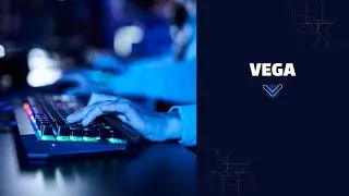 Mister Trader: Stocks, Options, Commodity Spread - Vega strategy