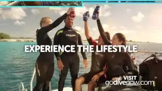 Go Dive Now: Join the Fun