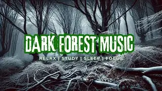 Desolate Winter Scenery: Cold gloomy music and creepy forest feel are perfect for concentration