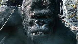 Capturing Kong Scene - King Kong (2005) Movie Clip HD