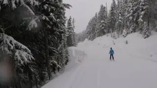 Ted Adams - Blackcomb 3/7/17