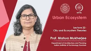 Lecture 22: City and Ecosystem Theories