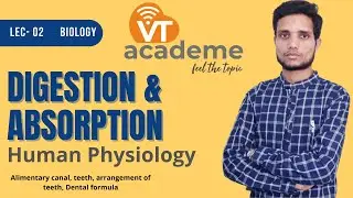 VTacademe | Digestion & Absorption Lec.- 02 | Gut, Teeth, Dental formula, Different types of teeth