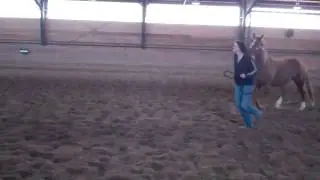 Lightning4.23.12.MP4