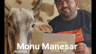 gau rakshak Monu Manesar 🚩🚩🚩🚩🚩🚩