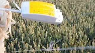 Radio sonda Wrocław 18072020 Rs41 Świerzawa