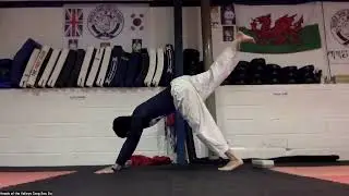 Balistic Hamstring: Back Stretch with Core and Balance