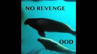 Dissatisfactory Singer Songwriter Cover Art Album Ood