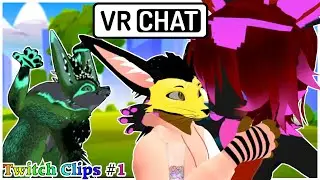 VRChat Twitch Clips #1 Montage -!-WARNING AGGRESSIVE KISSING-!-