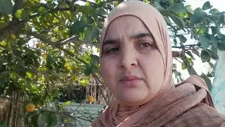 صباح الخير يا بنات 🌹