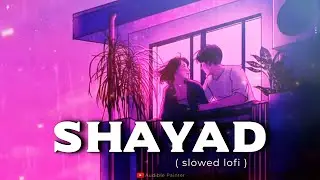 Shayad | Love Aaj Kal | Arijit Singh | Lofi Reverb Slowed Mix | Audible Painter | HD