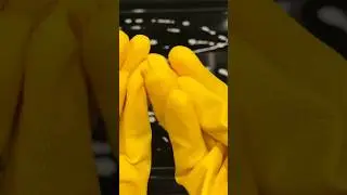 ASMR: Yellow rubber gloves Cleaning